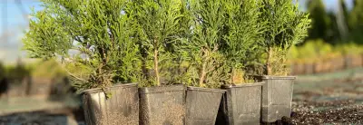 обязательно посетите наш you-tube канал