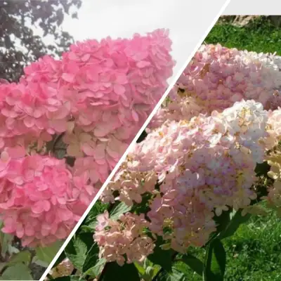 Комплект МНОГОГРАННОСТЬ в Кобрине