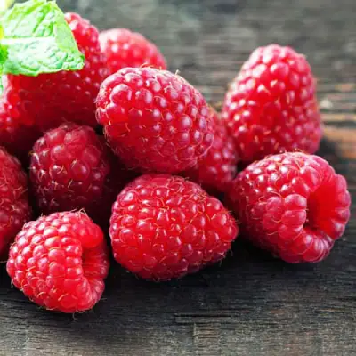 Малина ЭРИКА в Кобрине