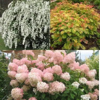 Комплект ФЕЙЕРВЕРК ЛЕТА в Кобрине