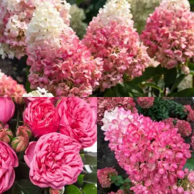 Комплект МАЛИНОВЫЙ ДЕСЕРТ в Кобрине