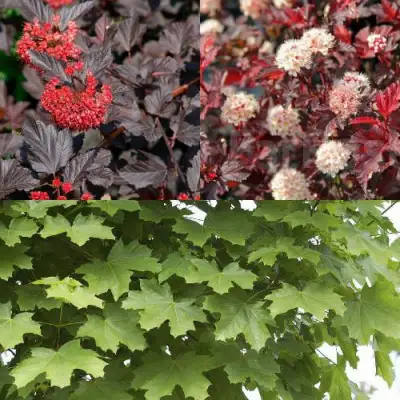 Комплект ОСЕННИЙ КОСТЕР в Кобрине