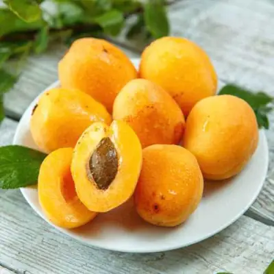 Абрикос АНАНАСНЫЙ в Кобрине