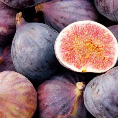 Инжир МУАССОН в Кобрине