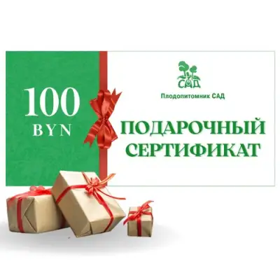 Подарочный сертификат на 100 BYN в Кобрине