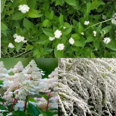 Комплект СКАНДИНАВСКИЙ СТИЛЬ в Кобрине