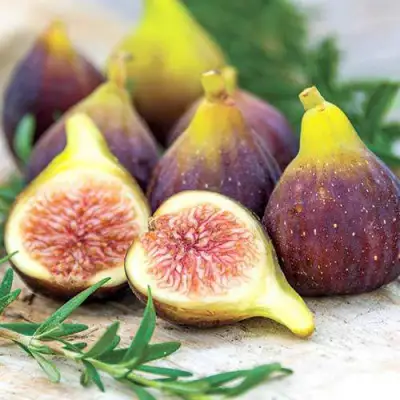 Инжир НИКИТСКИЙ в Кобрине