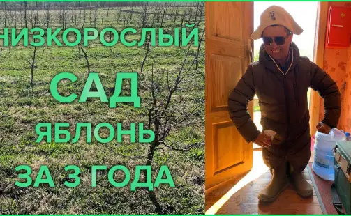 Превью видео