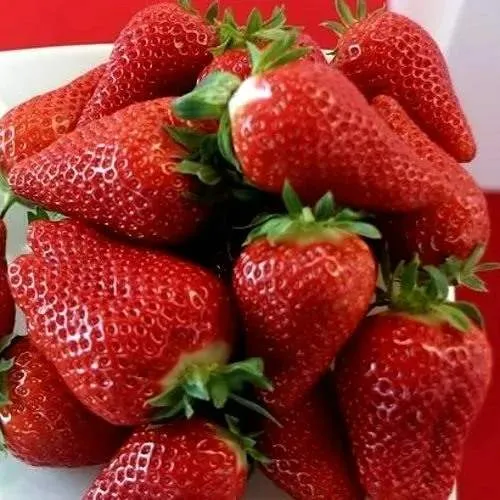 Клубника БРИЛЛА  Клубника БРИЛЛА в Кобрине