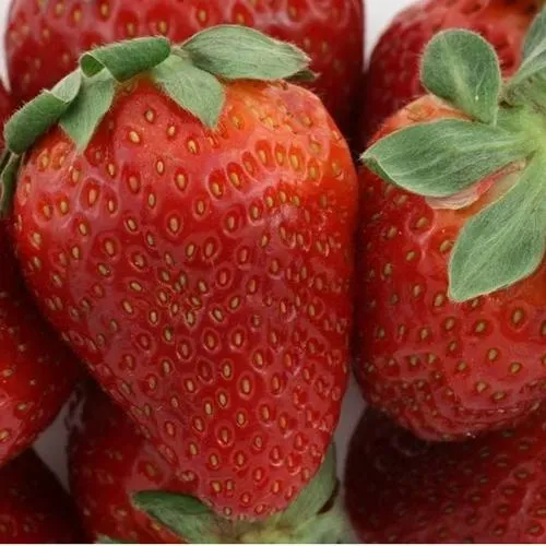 Клубника ФЛАМИНИЯ  Клубника ФЛАМИНИЯ в Кобрине