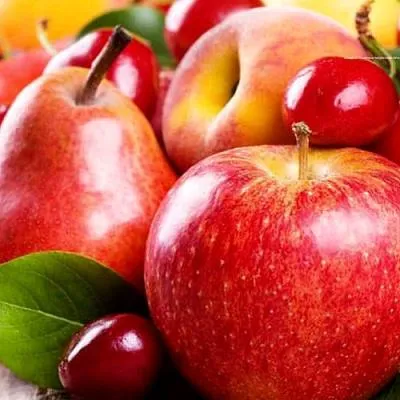 Плодовые деревья  Плодовые деревья в Кобрине