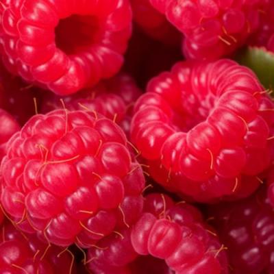 Красная в Кобрине