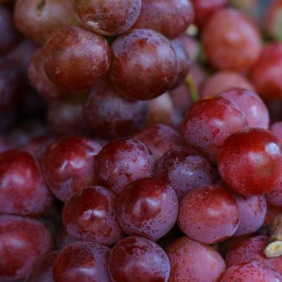 Красный в Кобрине