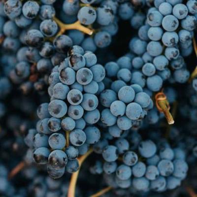 Технический в Кобрине