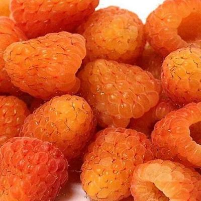 Оранжевая в Кобрине